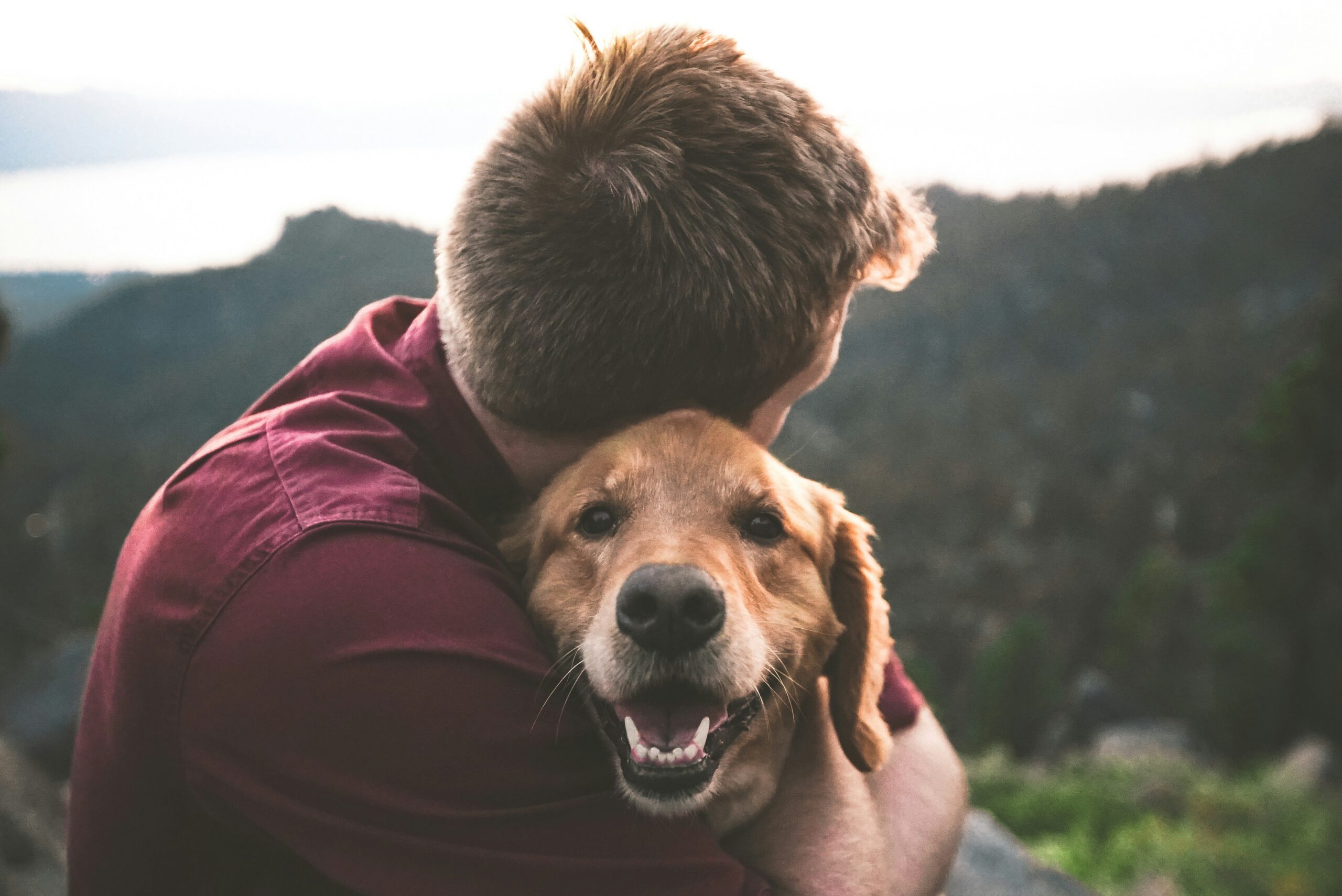 A man hugging his dog