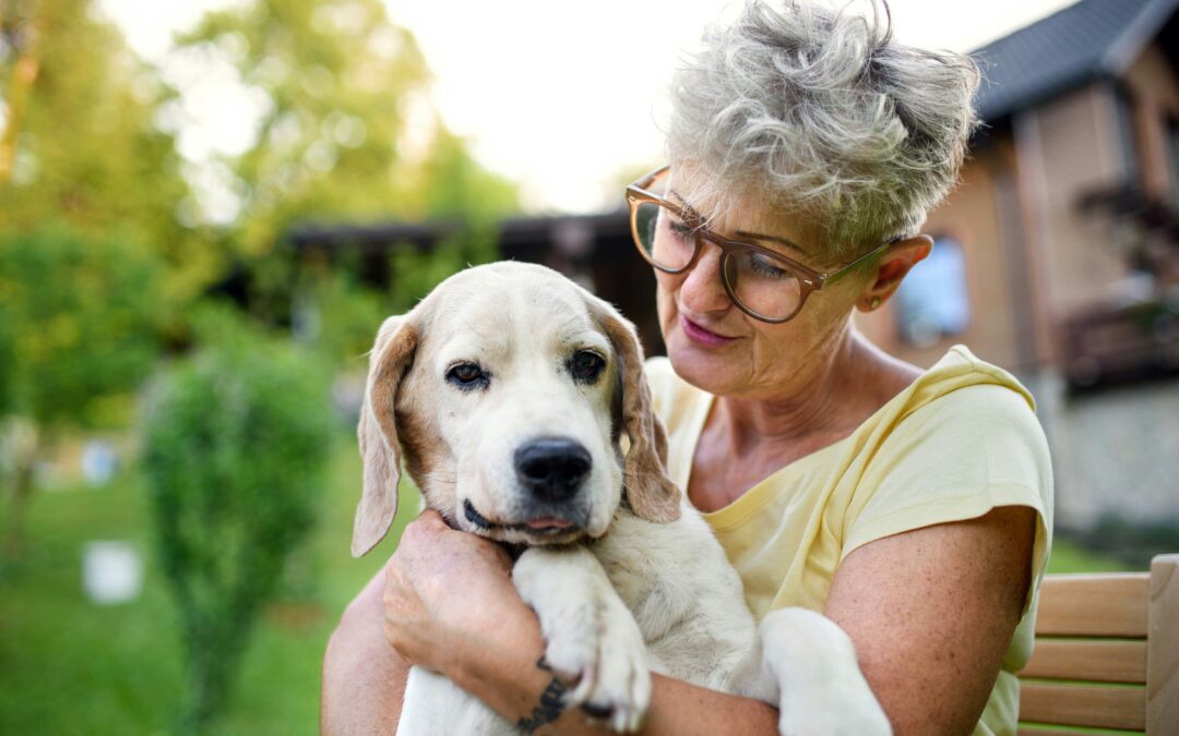 September Is National Responsible Dog Ownership Month — Here’s How You Can Celebrate