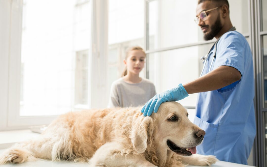 Mass Removals at Animal Works