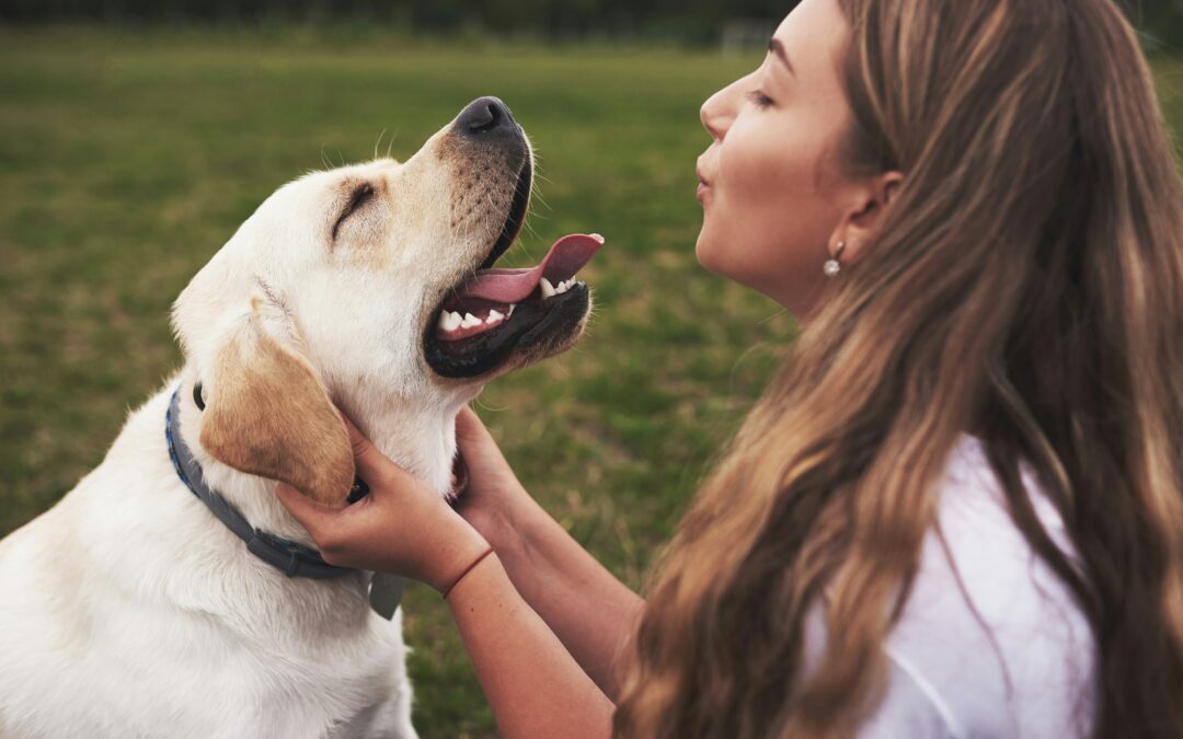 🐾💙 Celebrating National Pet Day with Animal Works 💙🐾