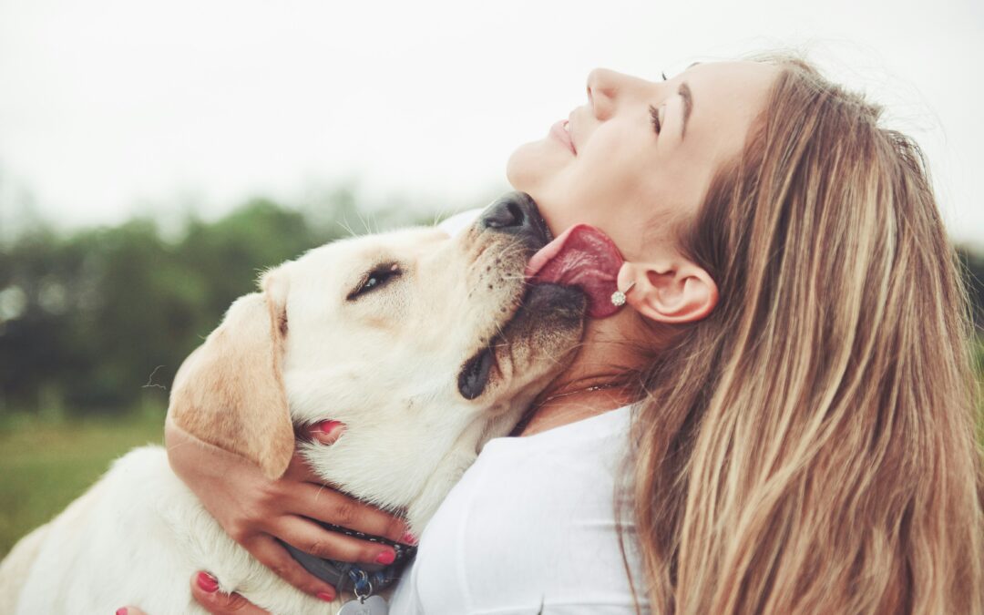 Celebrating the Pets Who Make Our Lives Whole 🐾💛